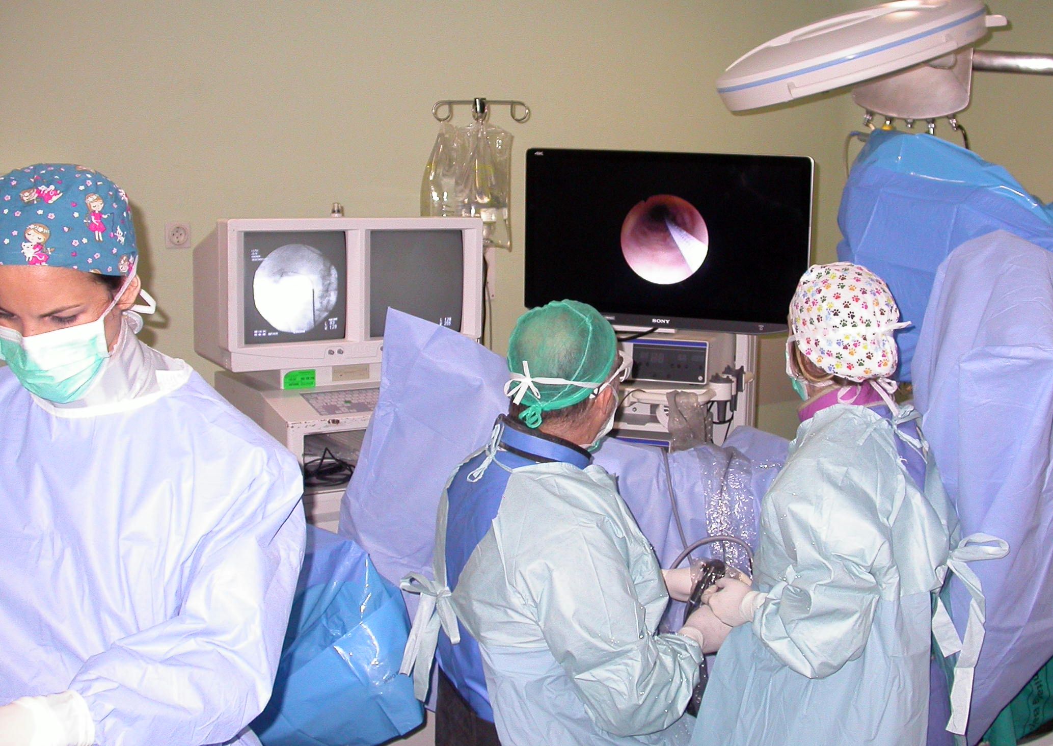 La Unidad de Litiasis y Endourología del Hospital de Valme atiende a más de 2.000 pacientes anuales